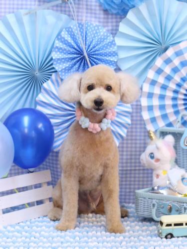 20231103モコくん